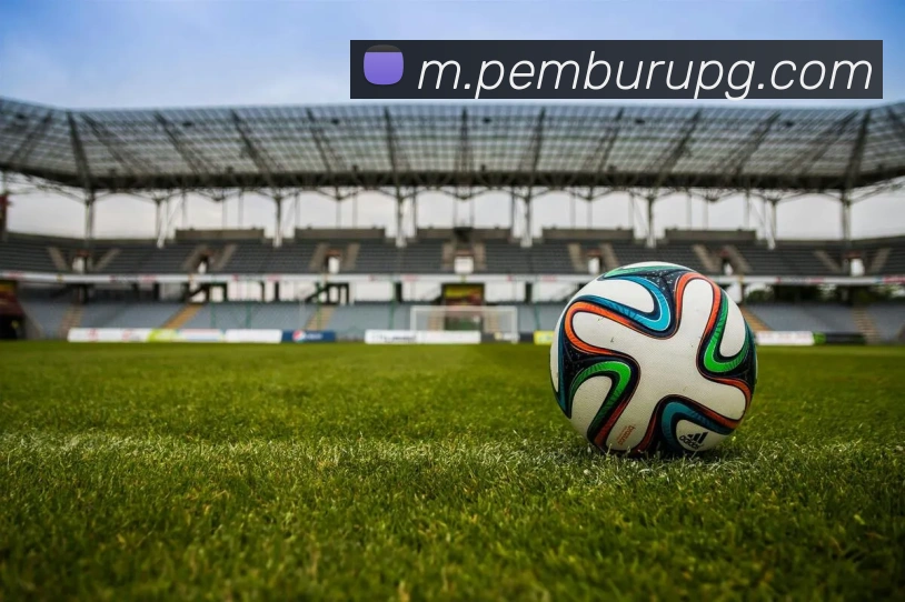 pg官网平台生态图