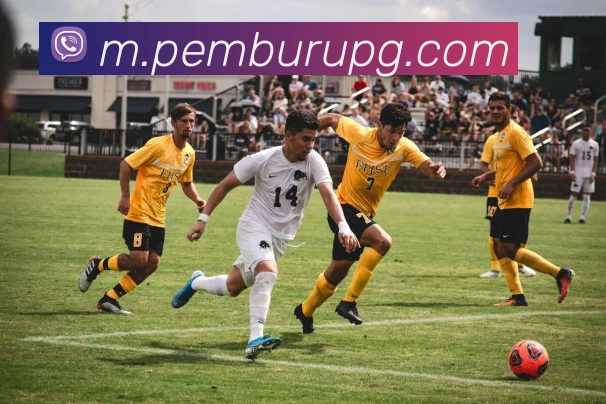 pg官网APP 封面图